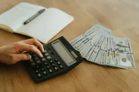Serbest Bölgelerde İhracat Rekoru