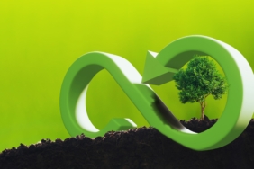 CSR concept tree with circular economy