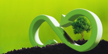 CSR concept tree with circular economy