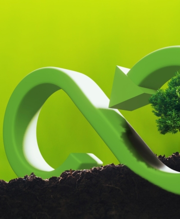 CSR concept tree with circular economy
