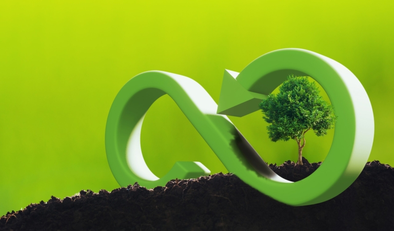 CSR concept tree with circular economy