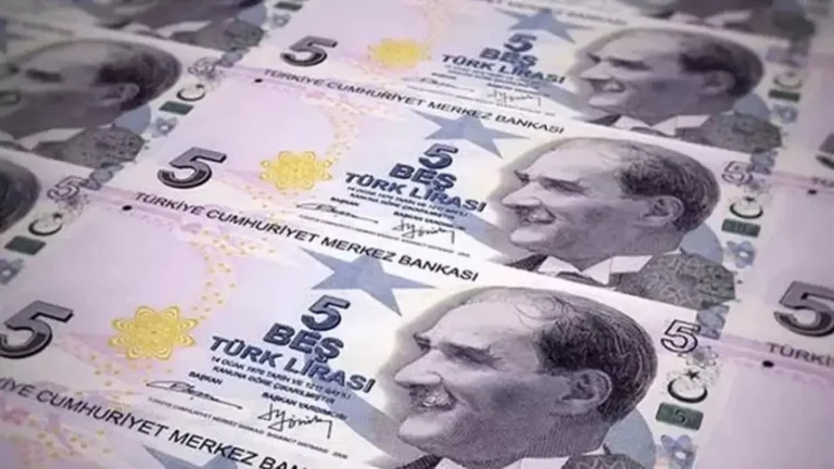46c1bcf9-cebinizde-varsa-bir-kez-daha-bakin-50-tl-ve-5-tller-bugun-2